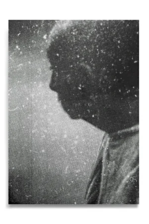 REVOLCÁNDONOS ENTRE LAS CALDERAS