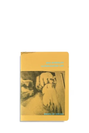 LA PUBLICACIÓN LOFI