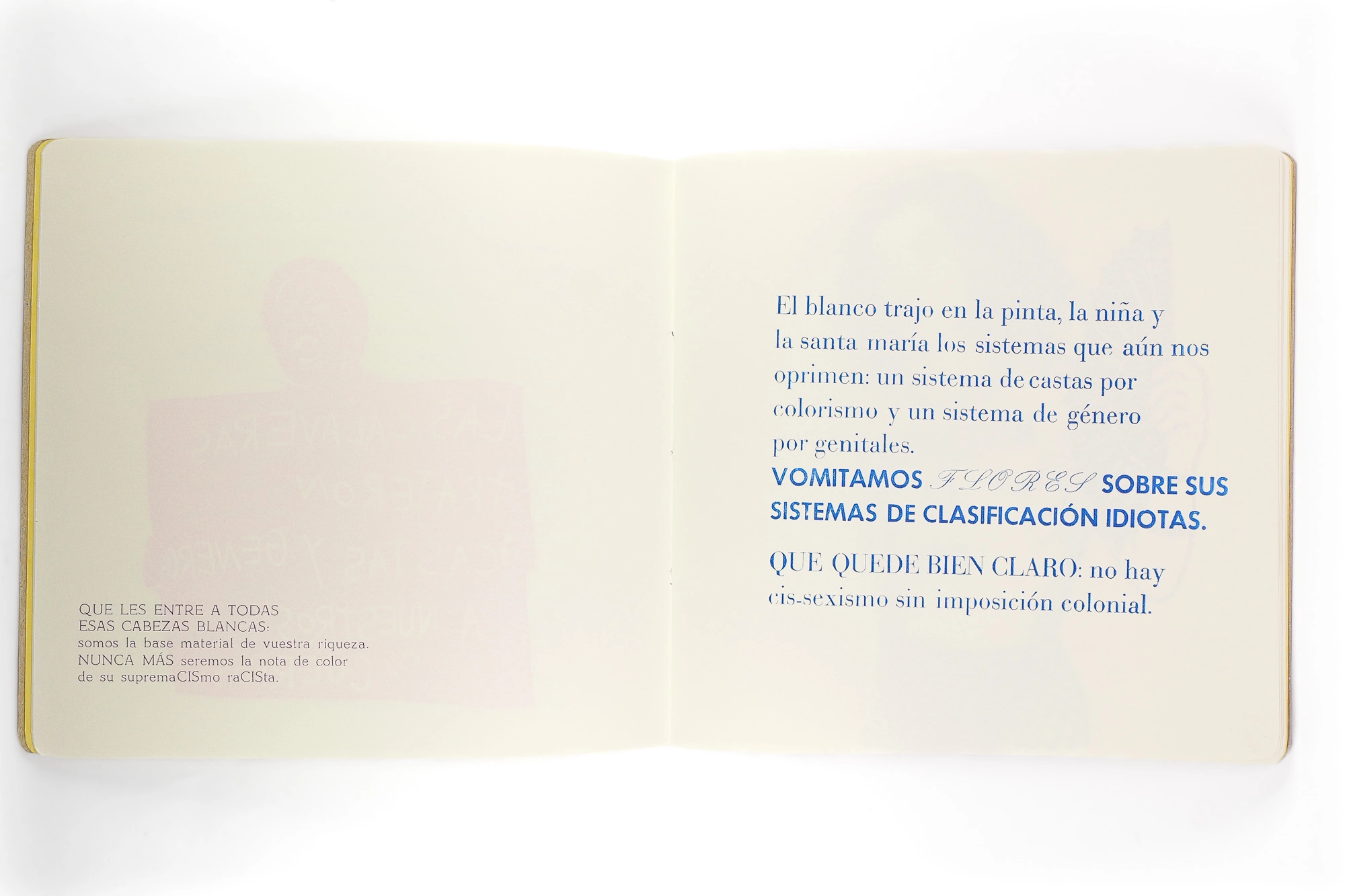 MANIFIESTO PLUMÍFERO - Image 3