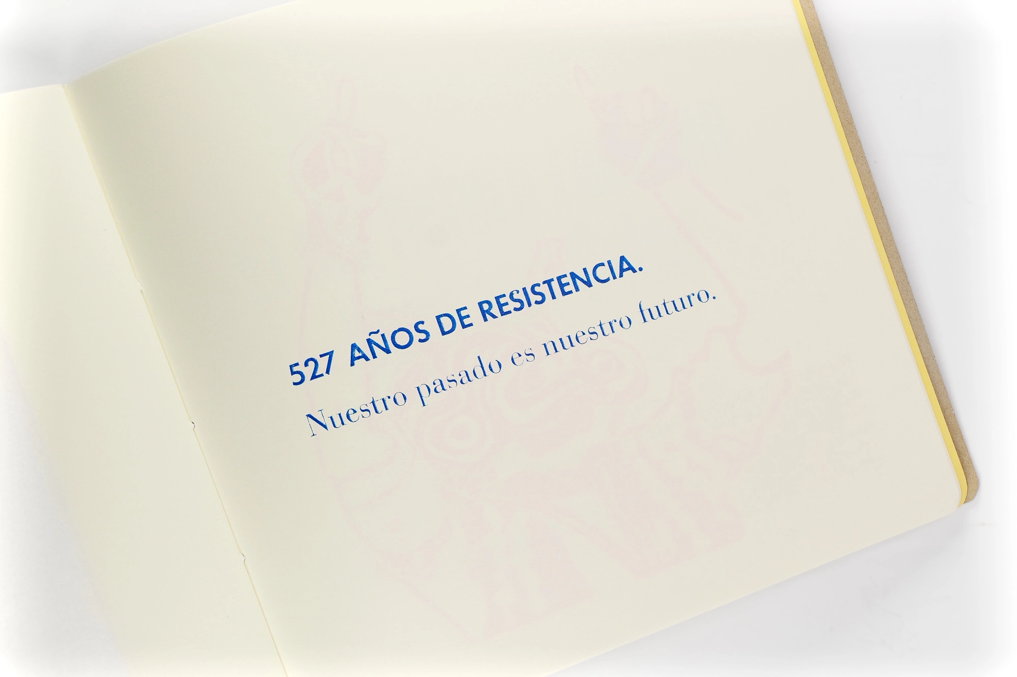 MANIFIESTO PLUMÍFERO - Image 4