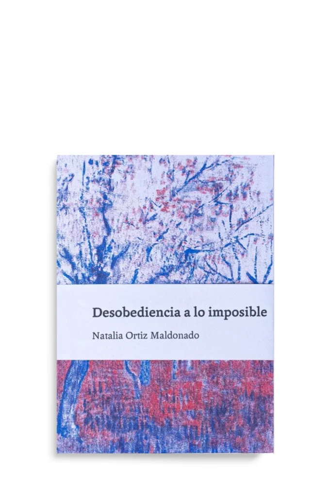 DESOBEDIENCIA A LO IMPOSIBLE