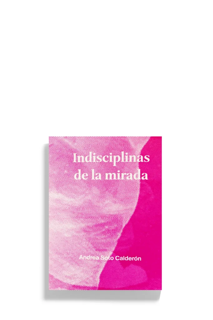 INDISCIPLINAS DE LA MIRADA